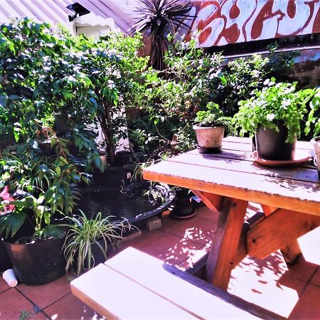 Asylum Sydney Backpackers Hostel מראה חיצוני תמונה