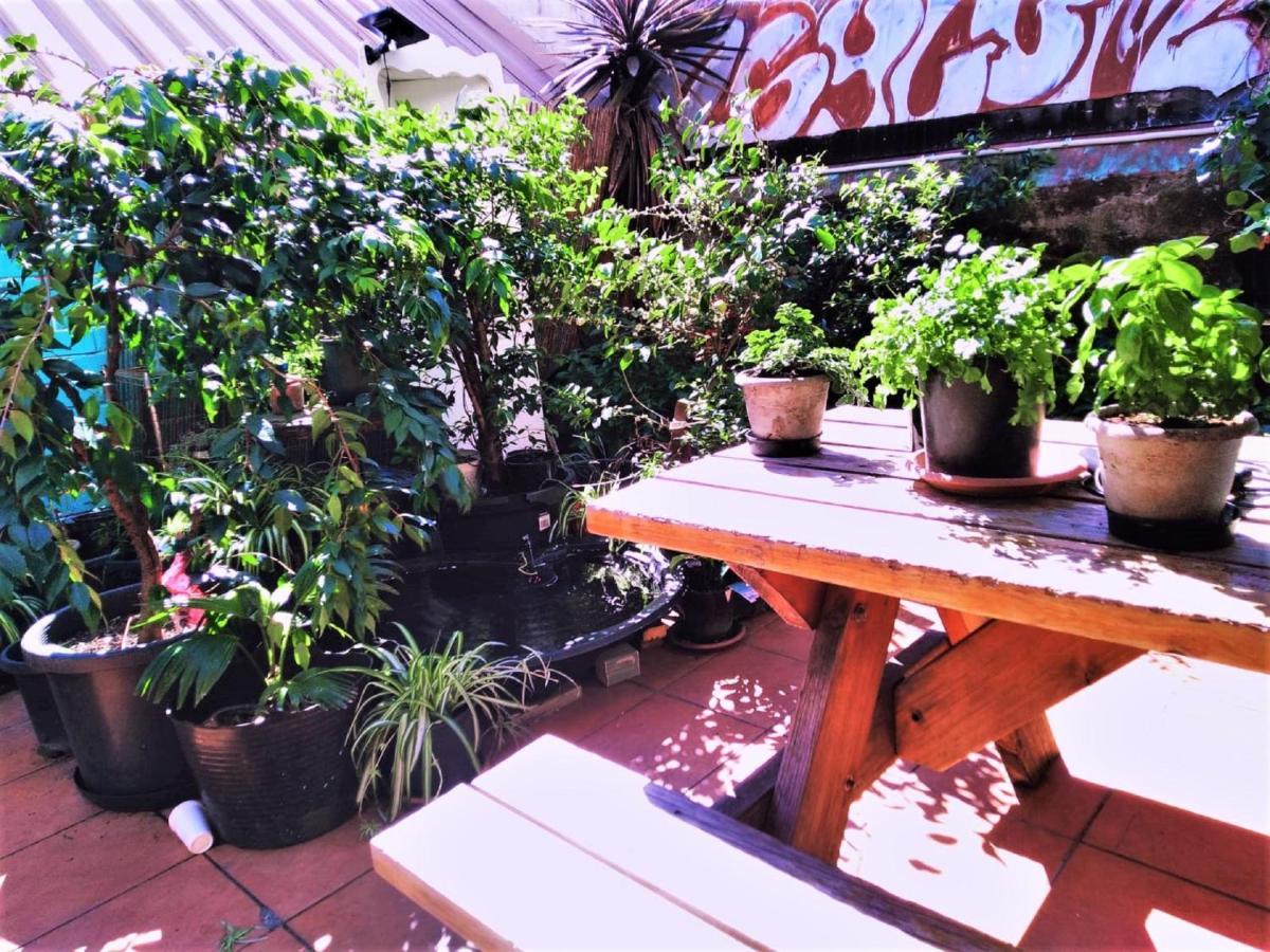Asylum Sydney Backpackers Hostel מראה חיצוני תמונה