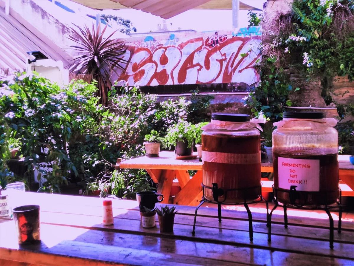 Asylum Sydney Backpackers Hostel מראה חיצוני תמונה